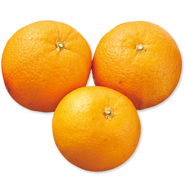 木下さんのバレンシアオレンジ 600ｇ