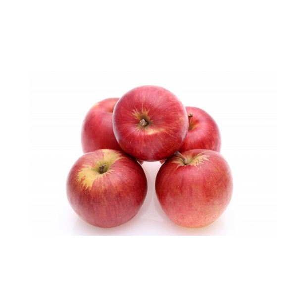 特栽りんご「サンつがる」　２個