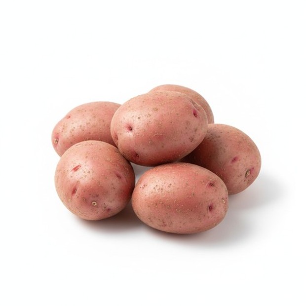 赤皮じゃが芋《アンデスレッド》 約500g