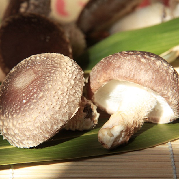 最高賞「原木生椎茸」 約100g×2P