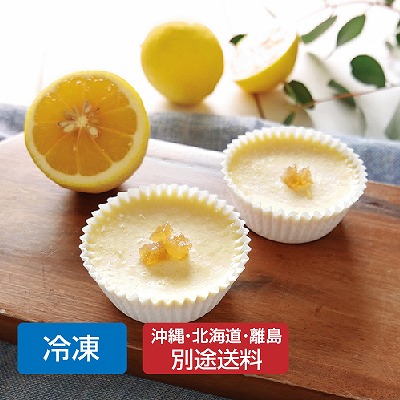 【seed】オーガニックレモンピールのアイスチーズケーキ9個【ギフト_のし短冊可】【送料無料】