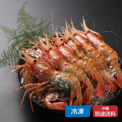 【函館朝市直送】子持ちぼたんえび【ギフト_のし紙可】
