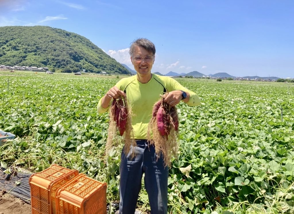 【SALE】有機 べにはるか さつまいも 約5kg 香川県坂出市・さぬき有機(有機JAS認証)