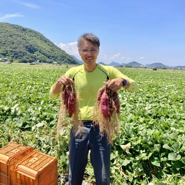 【SALE】有機 べにはるか さつまいも 約5kg 香川県坂出市・さぬき有機(有機JAS認証)
