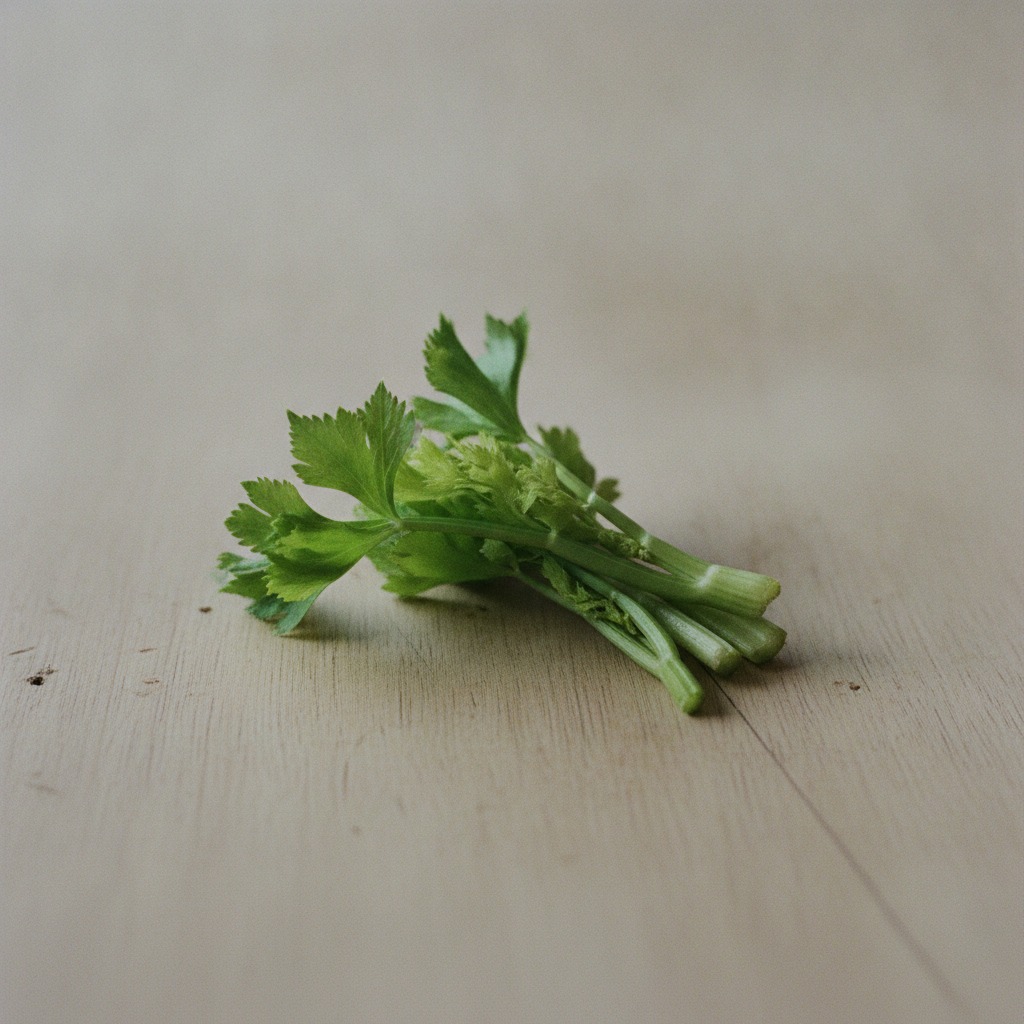 セロリの葉