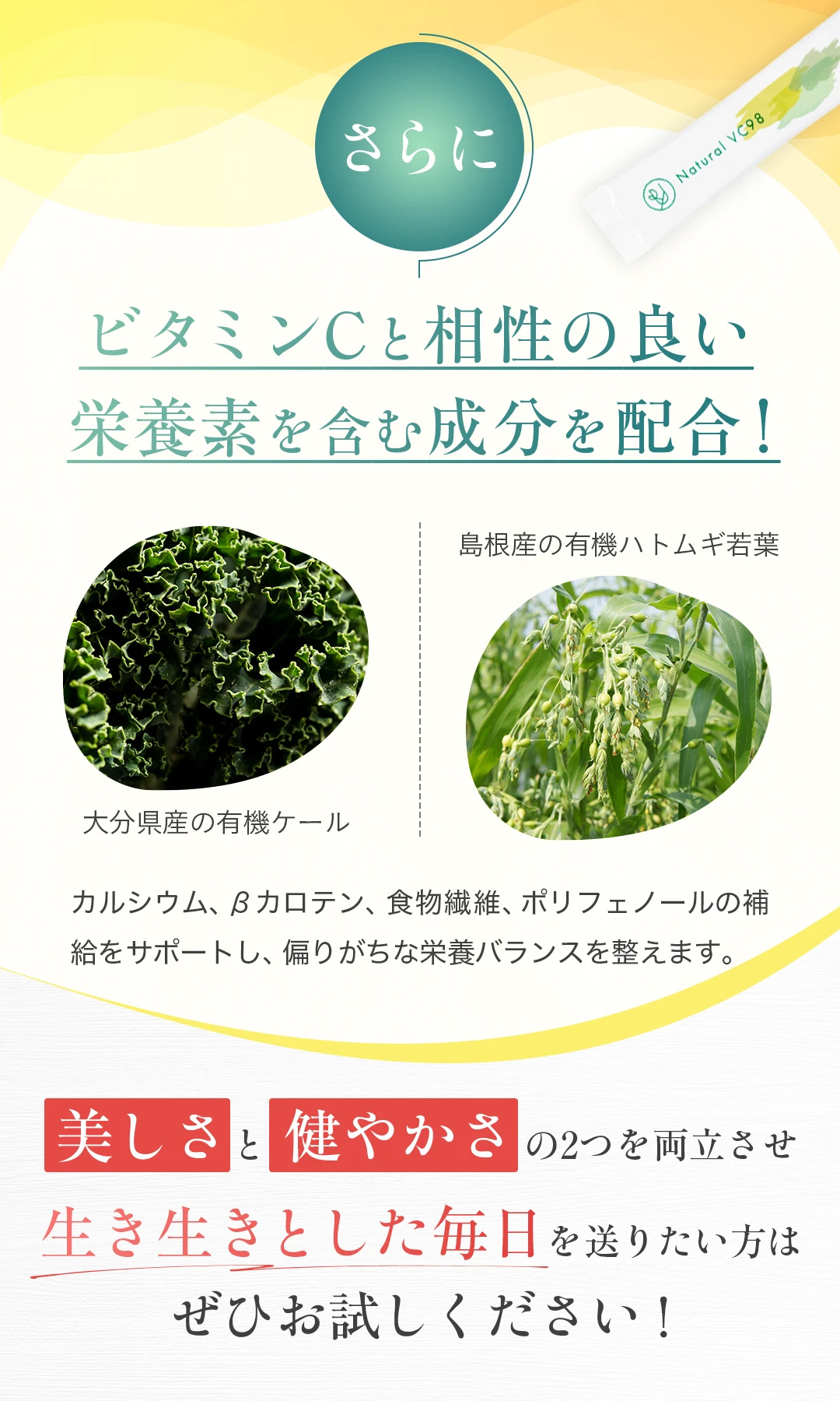 ビタミンCと相性の良い成分